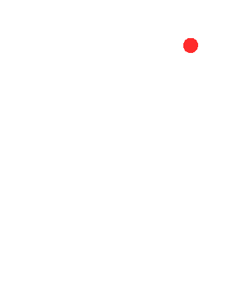 Blackswan Lane